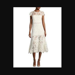 Joie Celedonia Lace Fit Flare Illus Dress 10/12